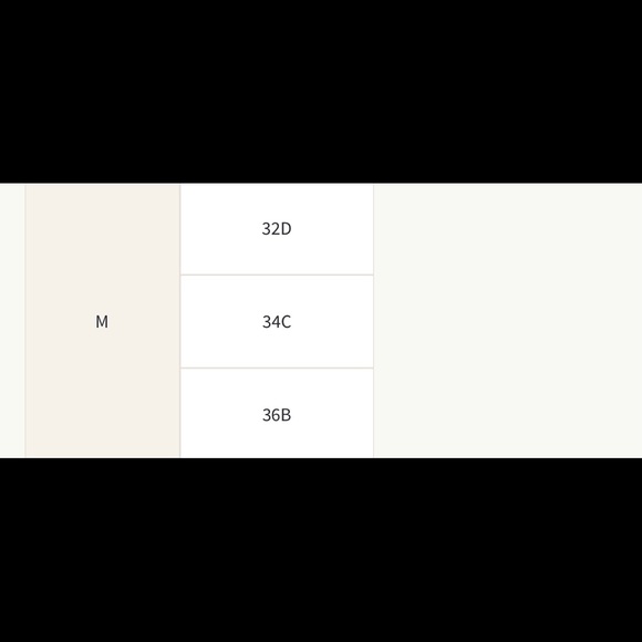 *NWT* Hollister Gilly Hicks Logo Triangle Bralette - Picture 4 of 4